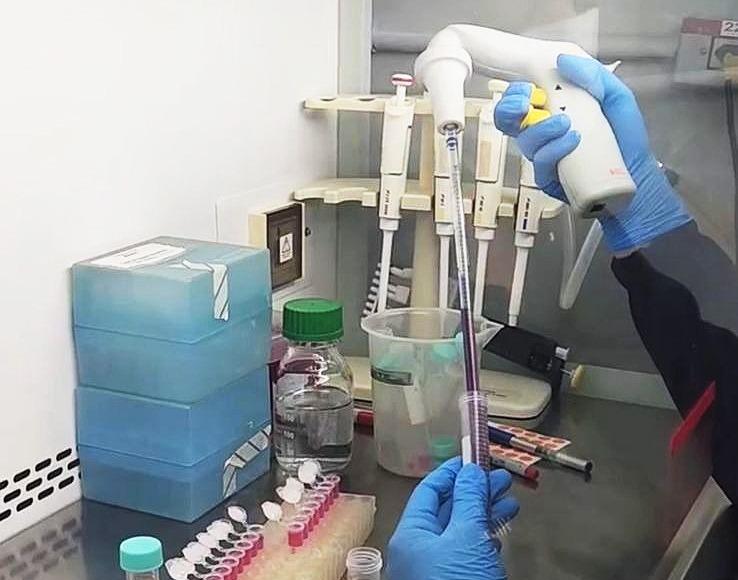 Câncer de mama: Com apoio da FAPDF, pesquisa investiga novos caminhos para conter a metástase